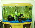 Click on one of the size names above to enlarge this image Click on one of the size names above to enlarge this image