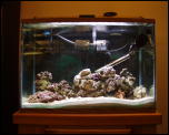 Click on one of the size names above to enlarge this image Click on one of the size names above to enlarge this image