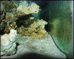 Click on one of the size names above to enlarge this image Click on one of the size names above to enlarge this image