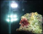 Click on one of the size names above to enlarge this image Click on one of the size names above to enlarge this image