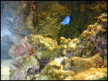 Click on one of the size names above to enlarge this image Click on one of the size names above to enlarge this image