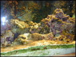 Click on one of the size names above to enlarge this image Click on one of the size names above to enlarge this image
