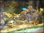 Click on one of the size names above to enlarge this image Click on one of the size names above to enlarge this image