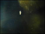 Click on one of the size names above to enlarge this image Click on one of the size names above to enlarge this image