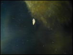 Click on one of the size names above to enlarge this image Click on one of the size names above to enlarge this image
